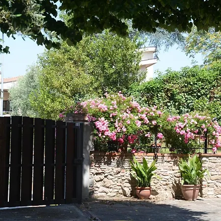 Casa1 *